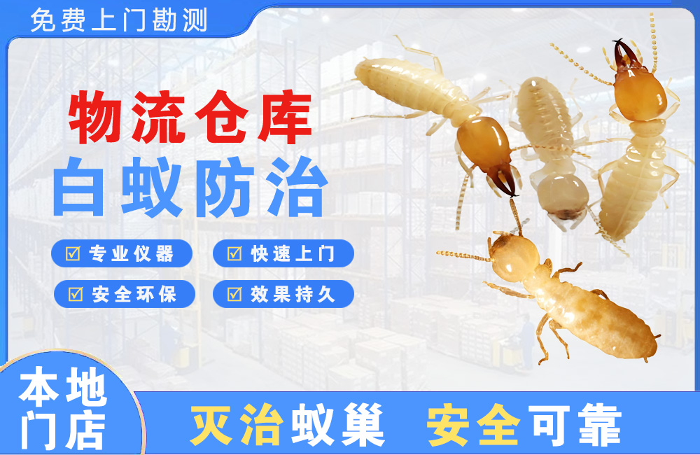 惠东物流仓库白蚁防治