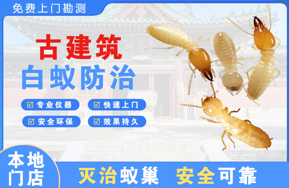 惠东古建筑白蚁防治