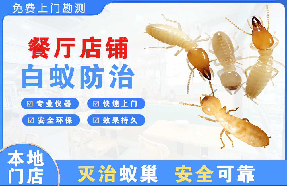 惠东餐厅店铺白蚁防治